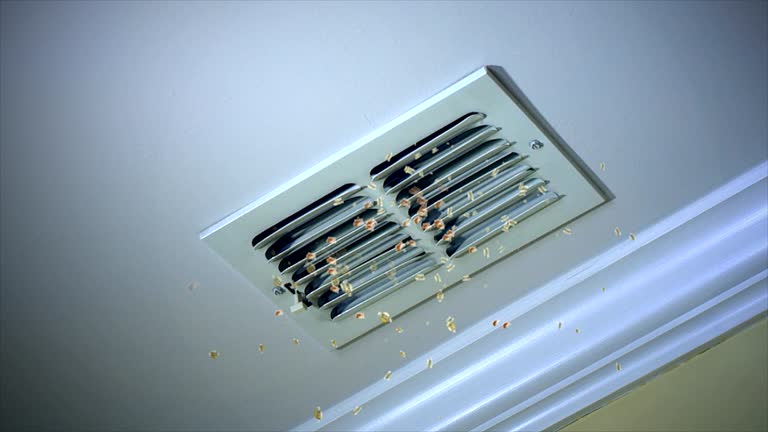 Reliable Holly Lake Ranch, TX Airduct Cleaning Solutions
