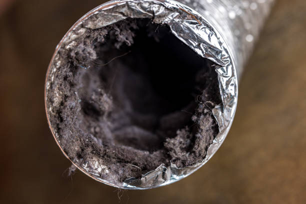 Best HVAC Duct Inspection Services  in Holly Lake Ranch, TX