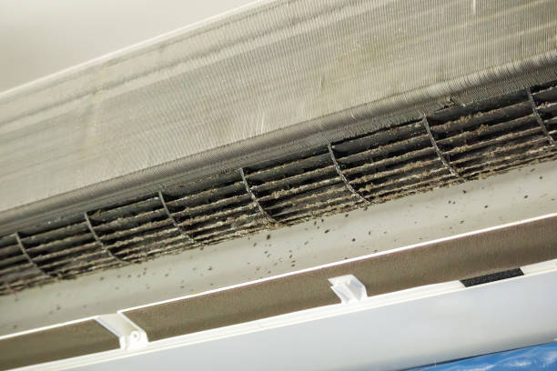 Affordable HVAC Duct Cleaning in Holly Lake Ranch, TX